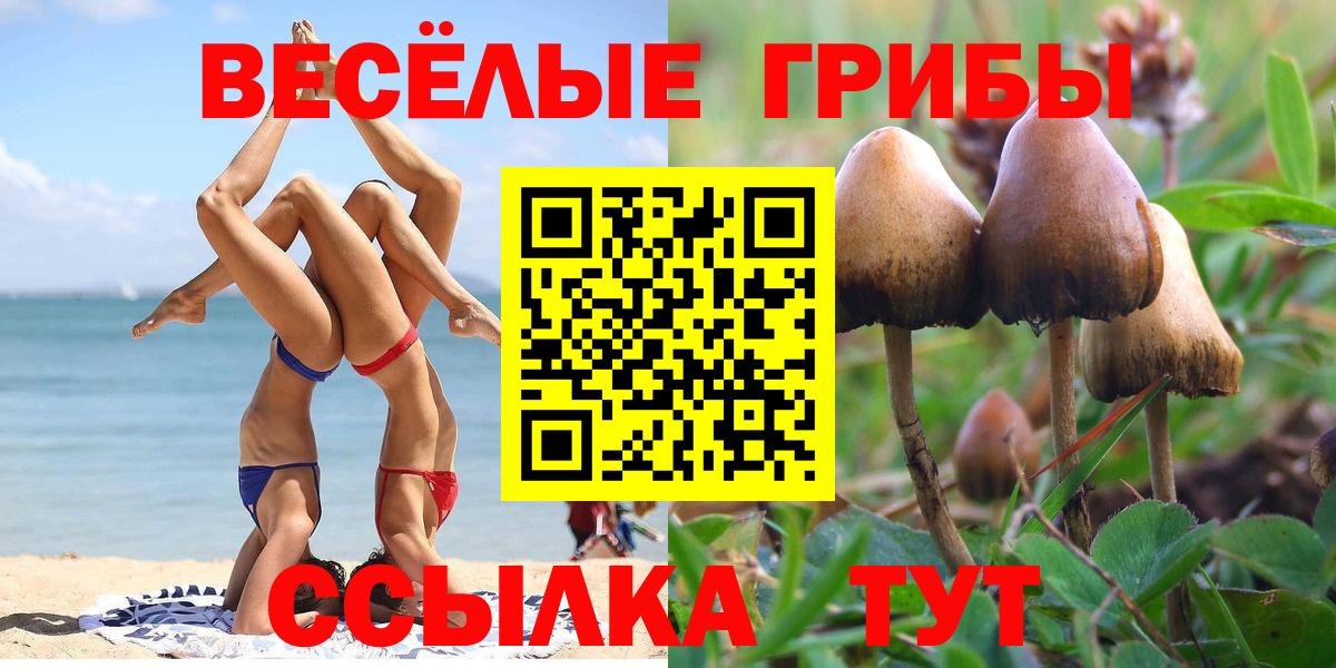 Галлюциногенные грибы MAGIC MUSHROOMS  Галлюциногенные грибы Psilocybe  Вход с VPN  Шарыпово 